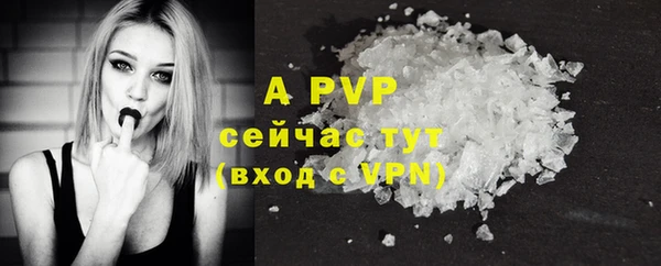 хмурый Инсар