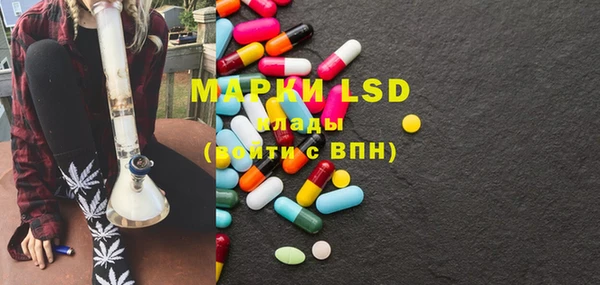 хмурый Инсар