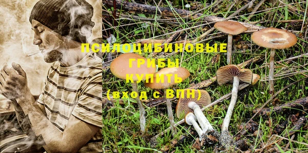 крисы Иннополис