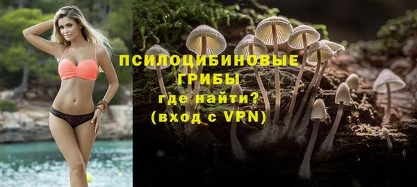 хмурый Инсар