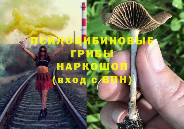 хмурый Инсар