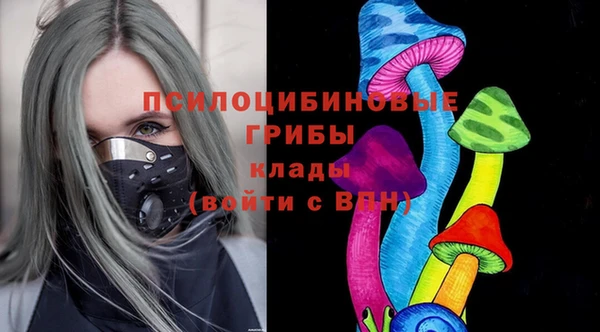 хмурый Инсар