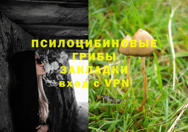 гашик Зерноград