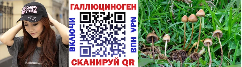 Галлюциногенные грибы Magic Shrooms Купить Кострома